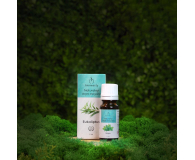 Aromatly Naturalny olejek eteryczny Eukaliptus - 1417697 - zdjęcie 2